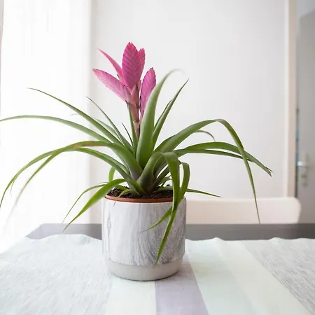 Casa Del Sole Apartament