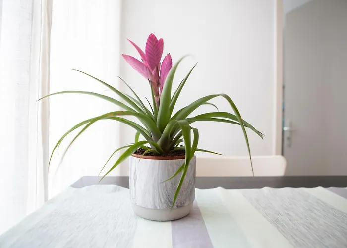 Casa Del Sole Apartman