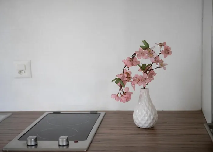 Casa Del Sole Apartman Locarno