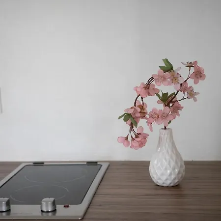 Casa Del Sole アパート ロカルノ